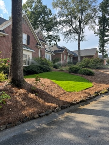 After sod installation project